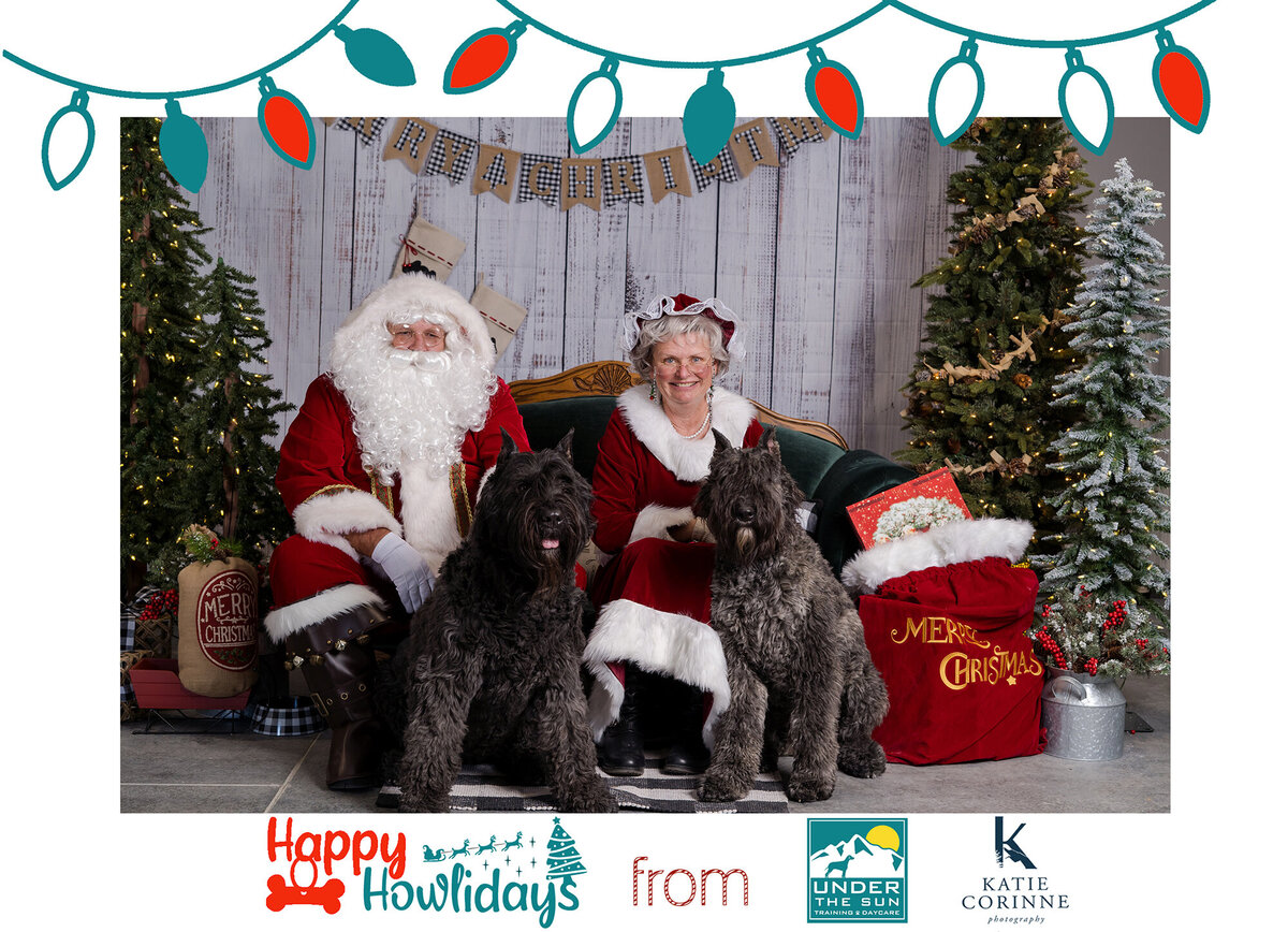 UTS Santa dog family portraits-1114