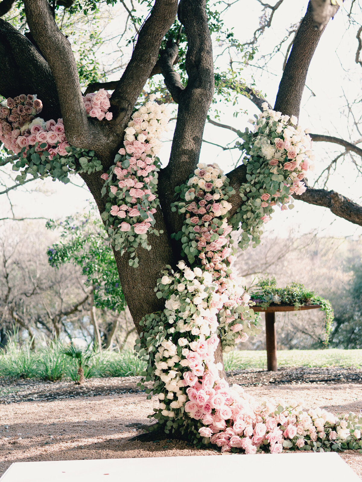 Four Seasons Austin Wedding 696