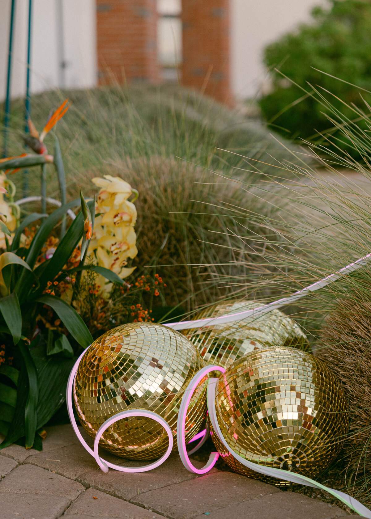 bloomandblueprintwedding-153