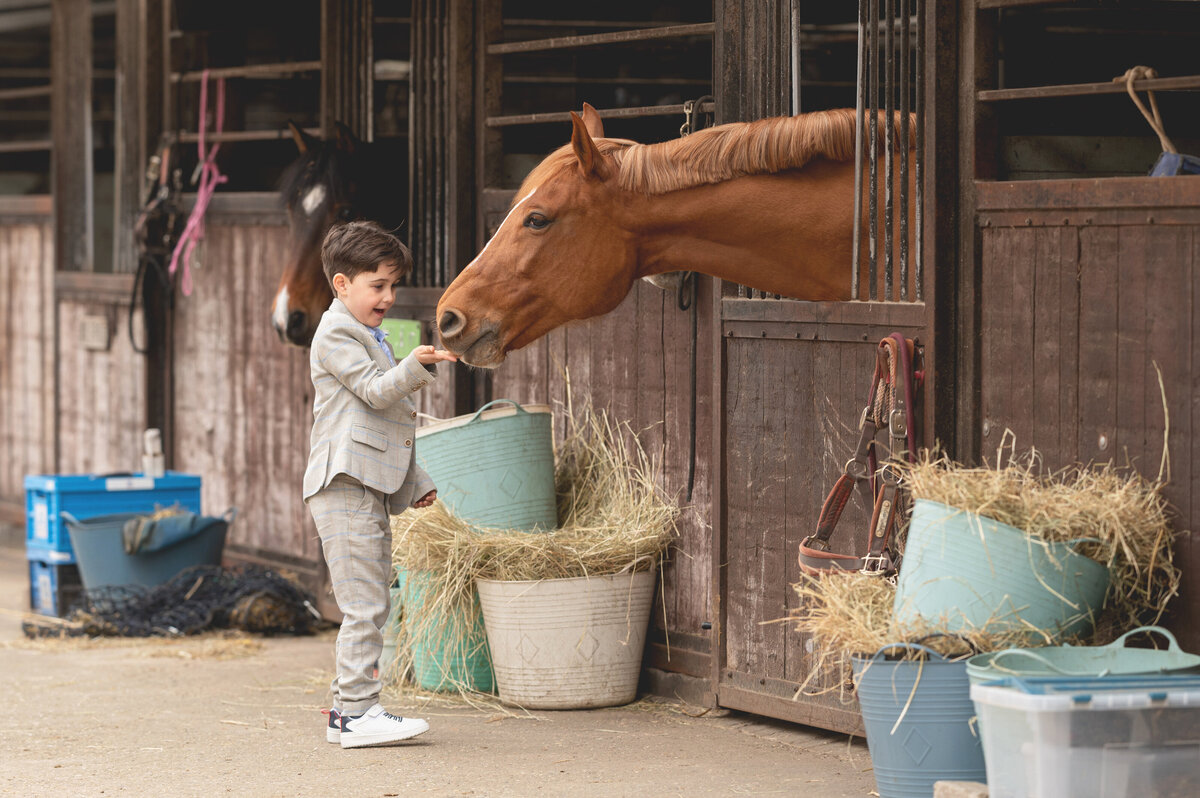 Nash manege 06