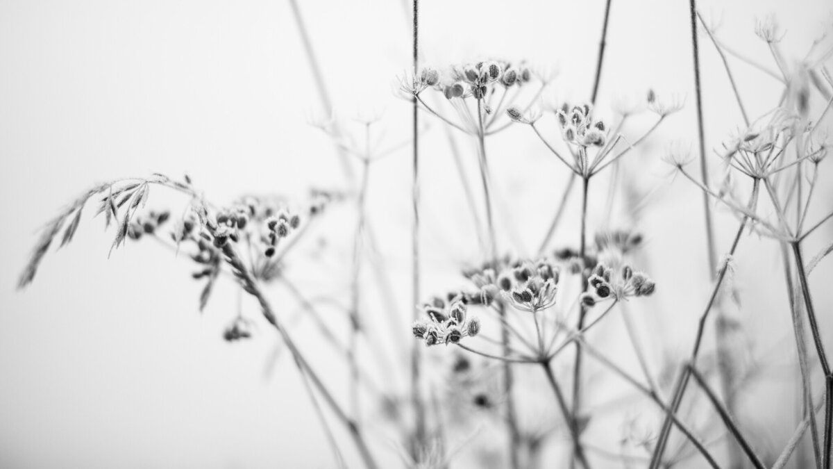 fine_art_photographer _025