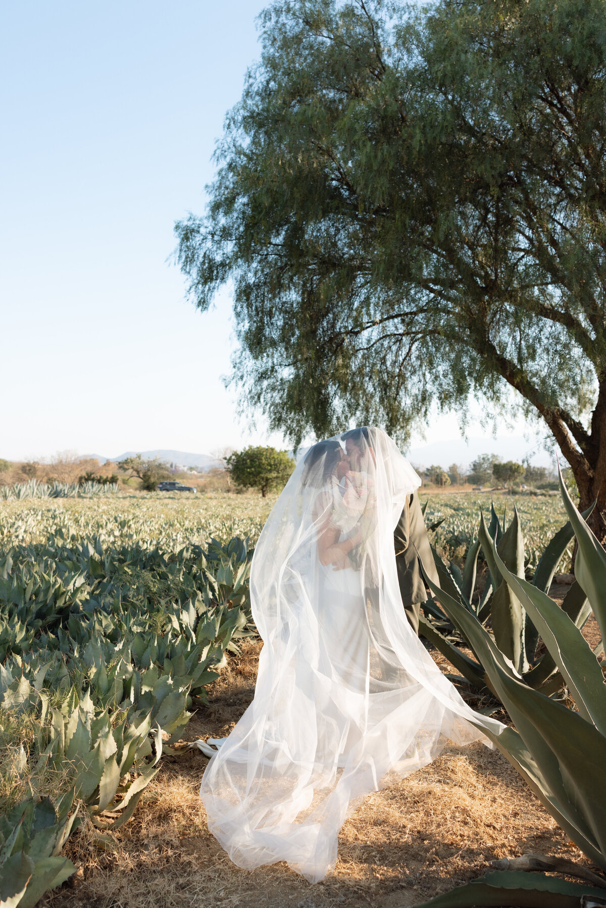 RyanandElle oaxacawedding mexicowedding mexicoweddingphotographer-97