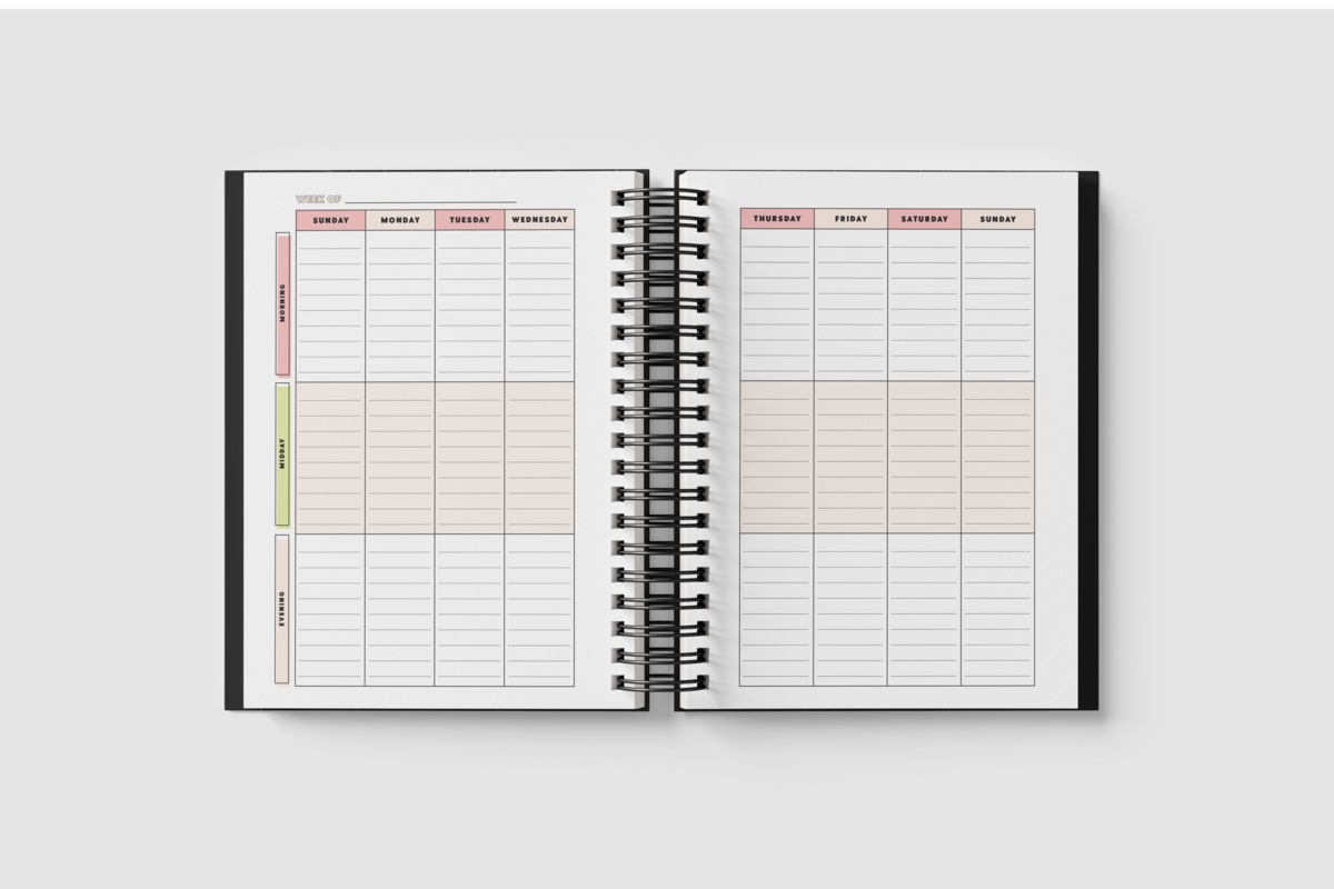 CEO Planner 8
