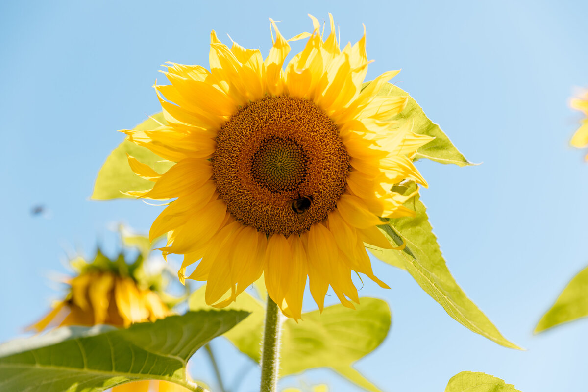 Rere_workeshop3-4-02.25-6808