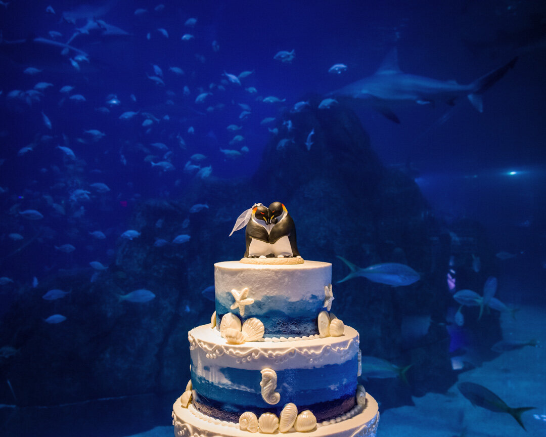 FoxBrazen_CuisonWedding_3609aSM