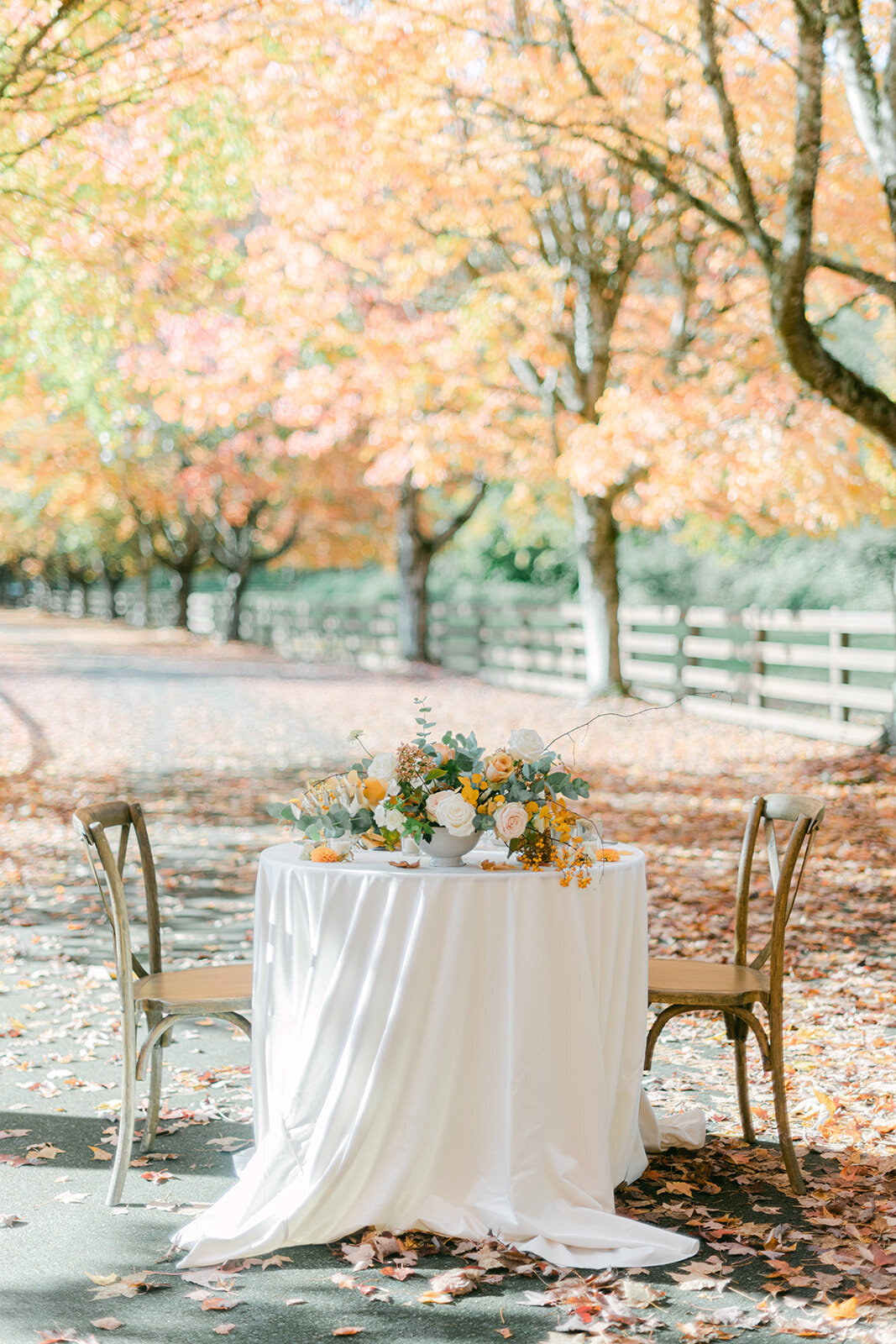 Michellia_Rockwood_Farm-074
