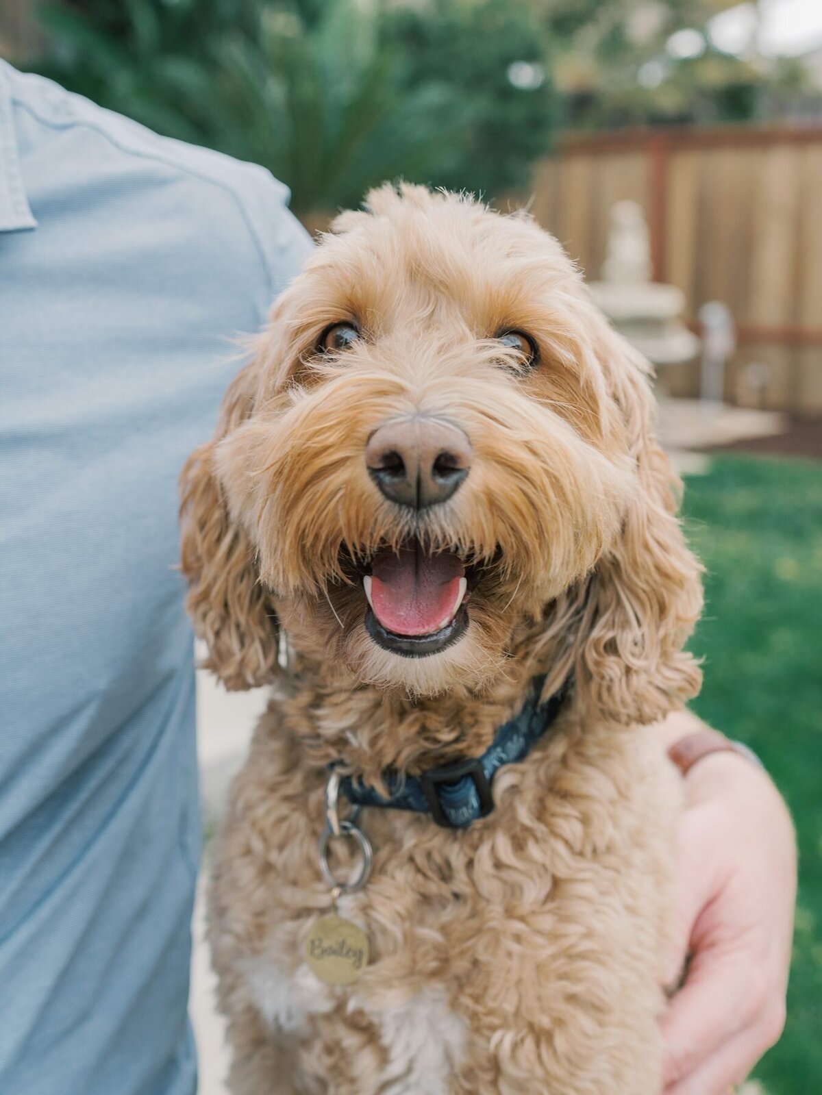Carlsbad Pet Photography