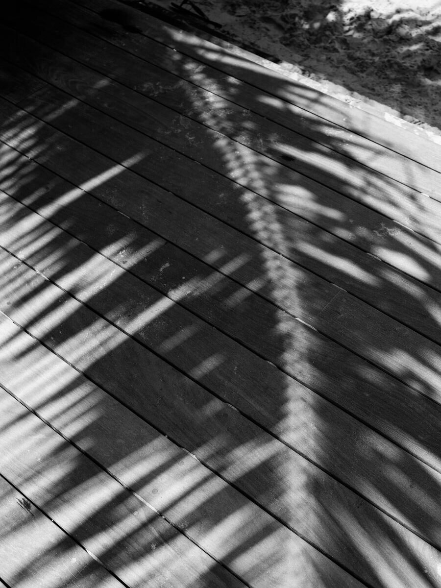 leila-brewster-photography-0420