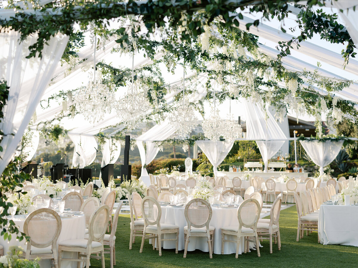 Reception(163)