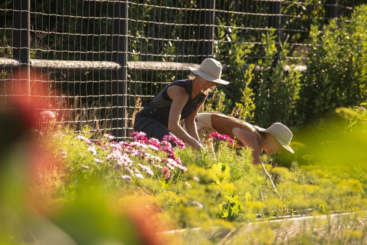 BSK_Experience_Farm_2022-44