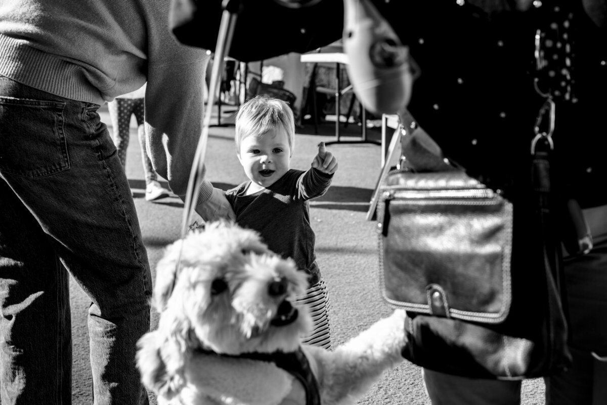 the-point-south-bay-event-photo