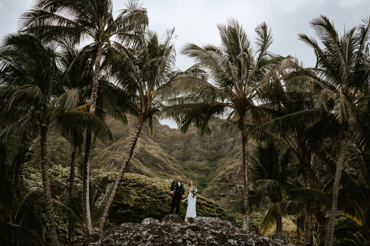 Hawaii-Wedding-Photographer-00329