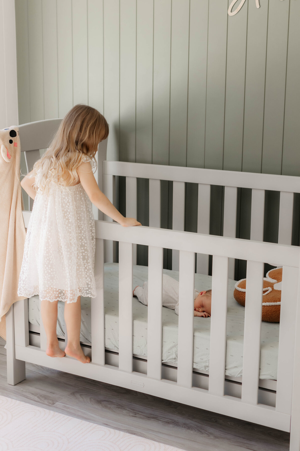 newborn photography cairns