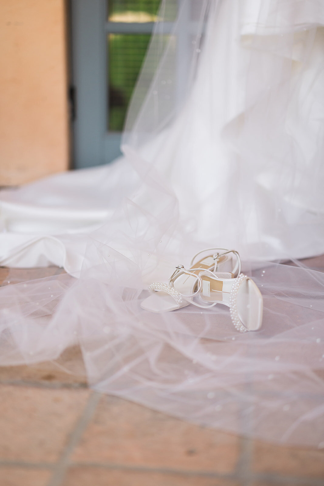 Royal Palms Wedding - Tara Nichole Photo - 2023 - Susanna and Kash-28