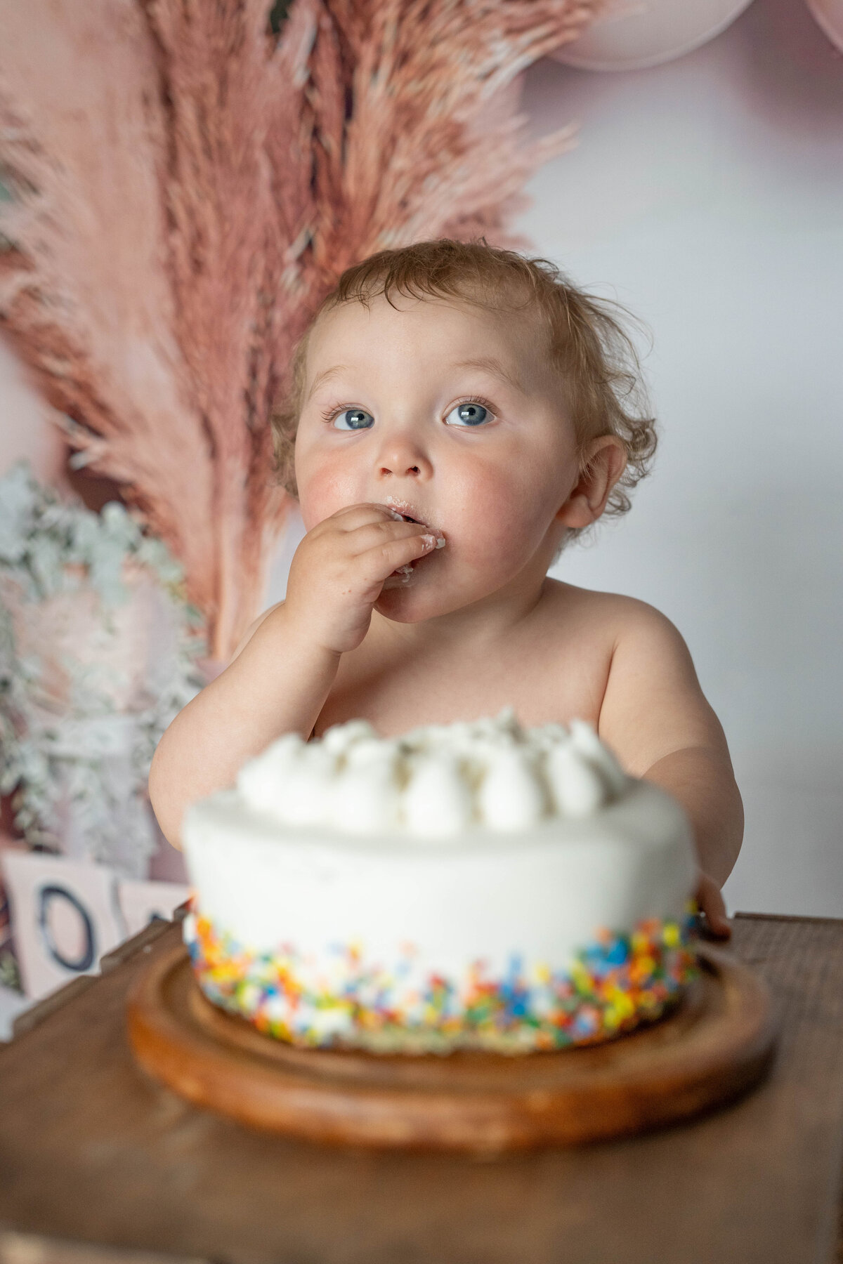 Noah's 1 Year Old-20