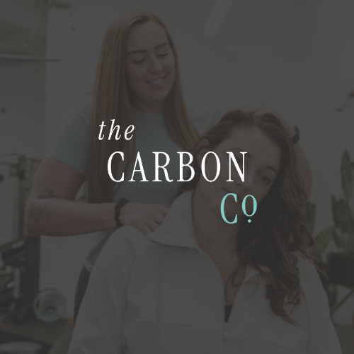 HP - Custom Chiropractic Logo Design