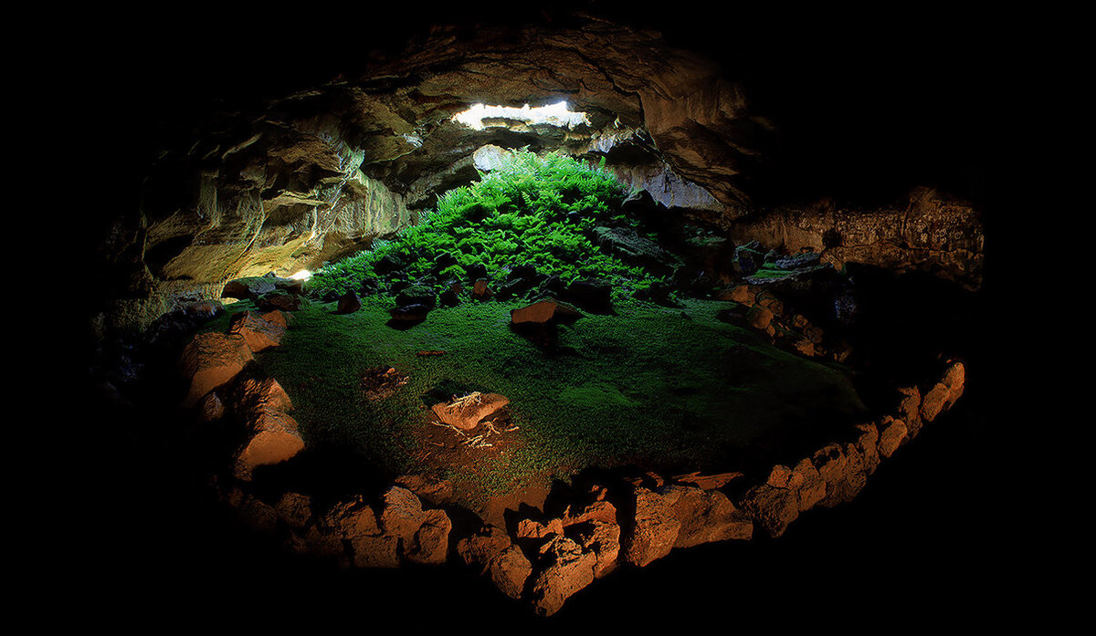 Fern Cave