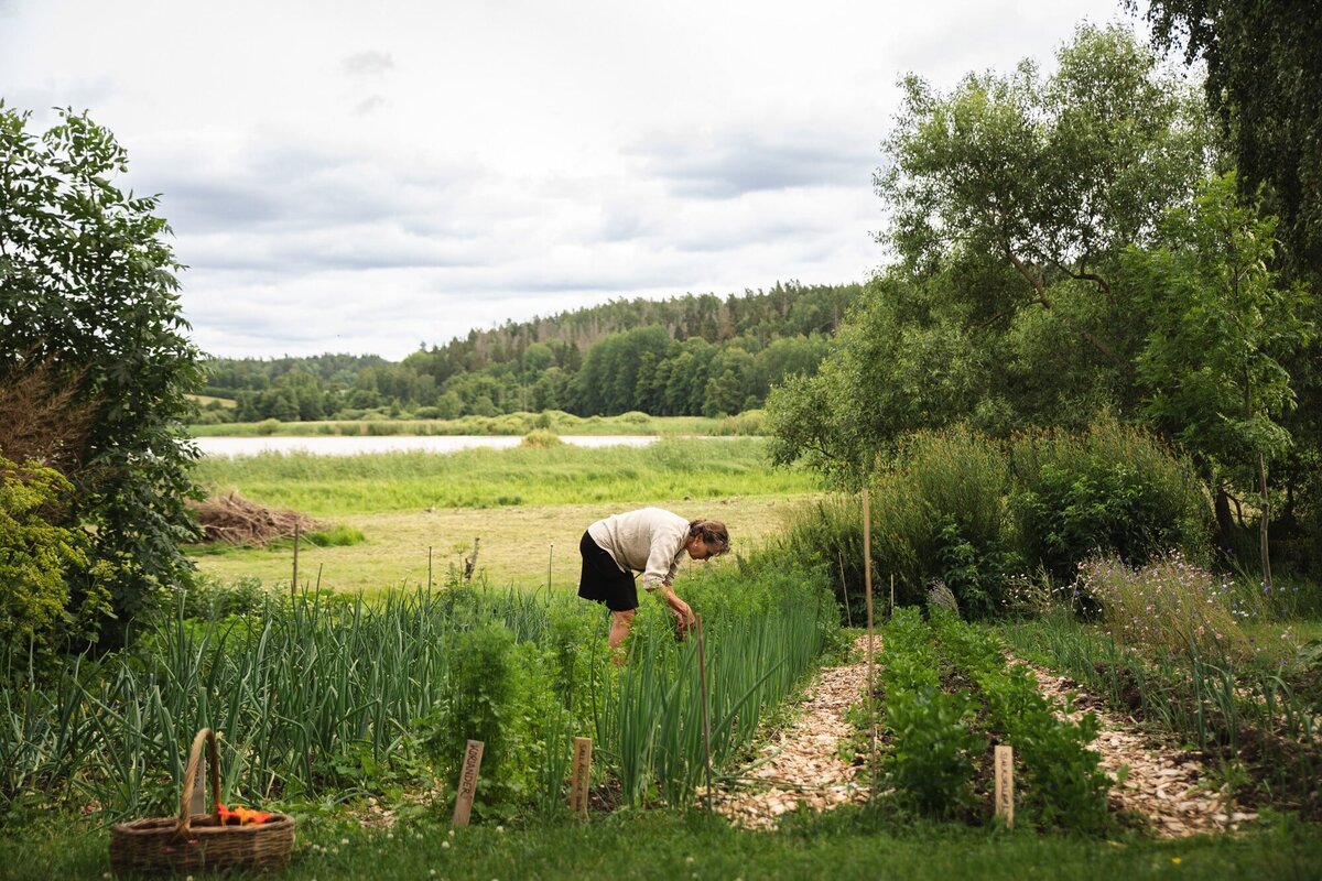 Kvinna skördar grönsaker i trädgårdsland med utsikt över sjö och skog – hållbart och naturnära pensionatliv.