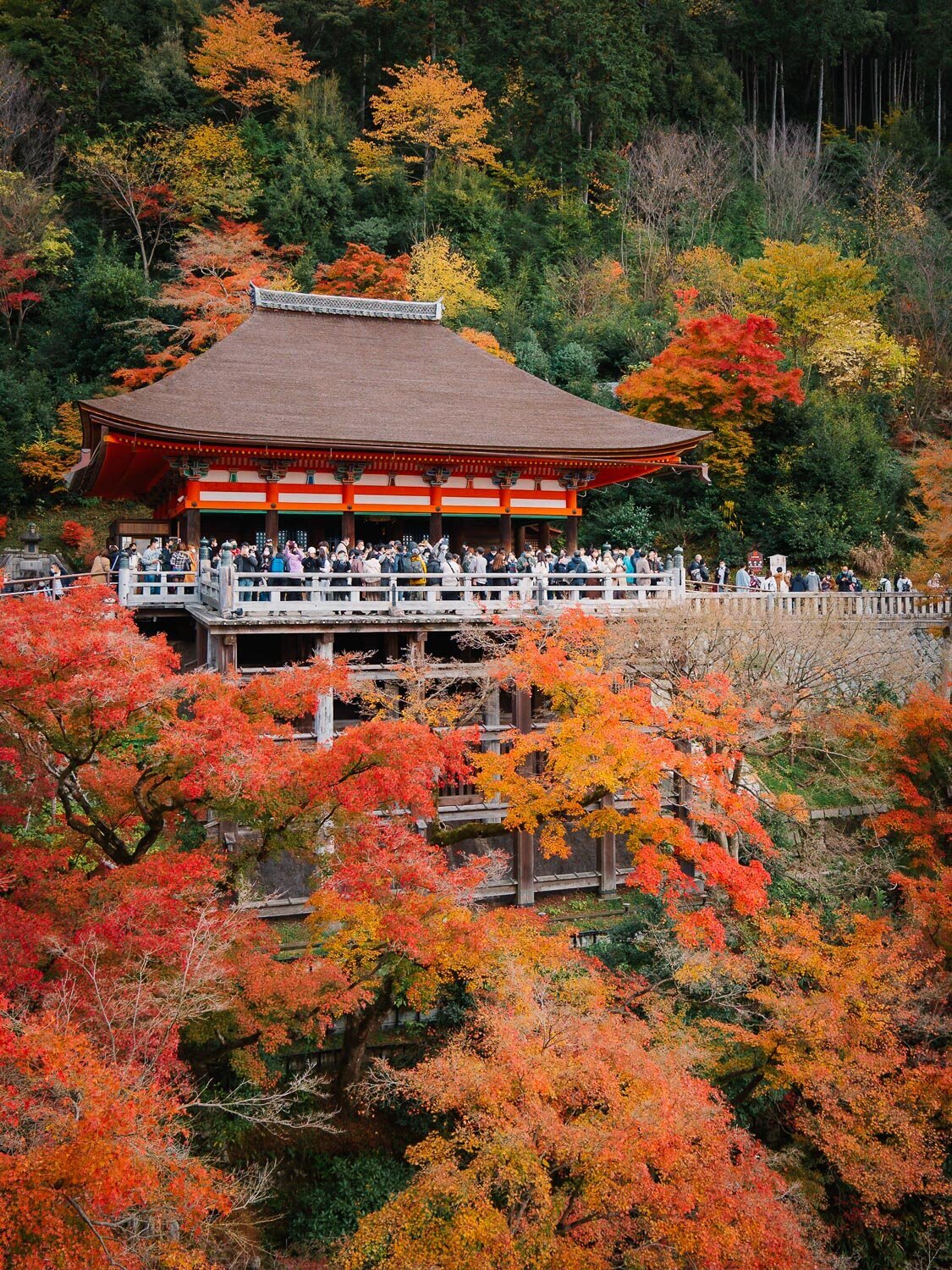 Kyoto-Autumn-Japan-foliage-spots-Kiyomizu-dera-16