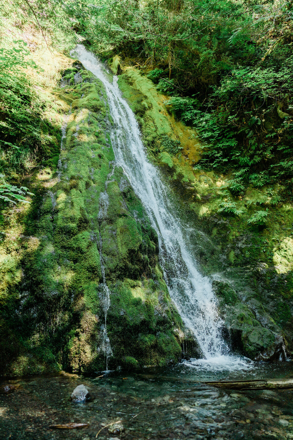 Olympic National Park elopement