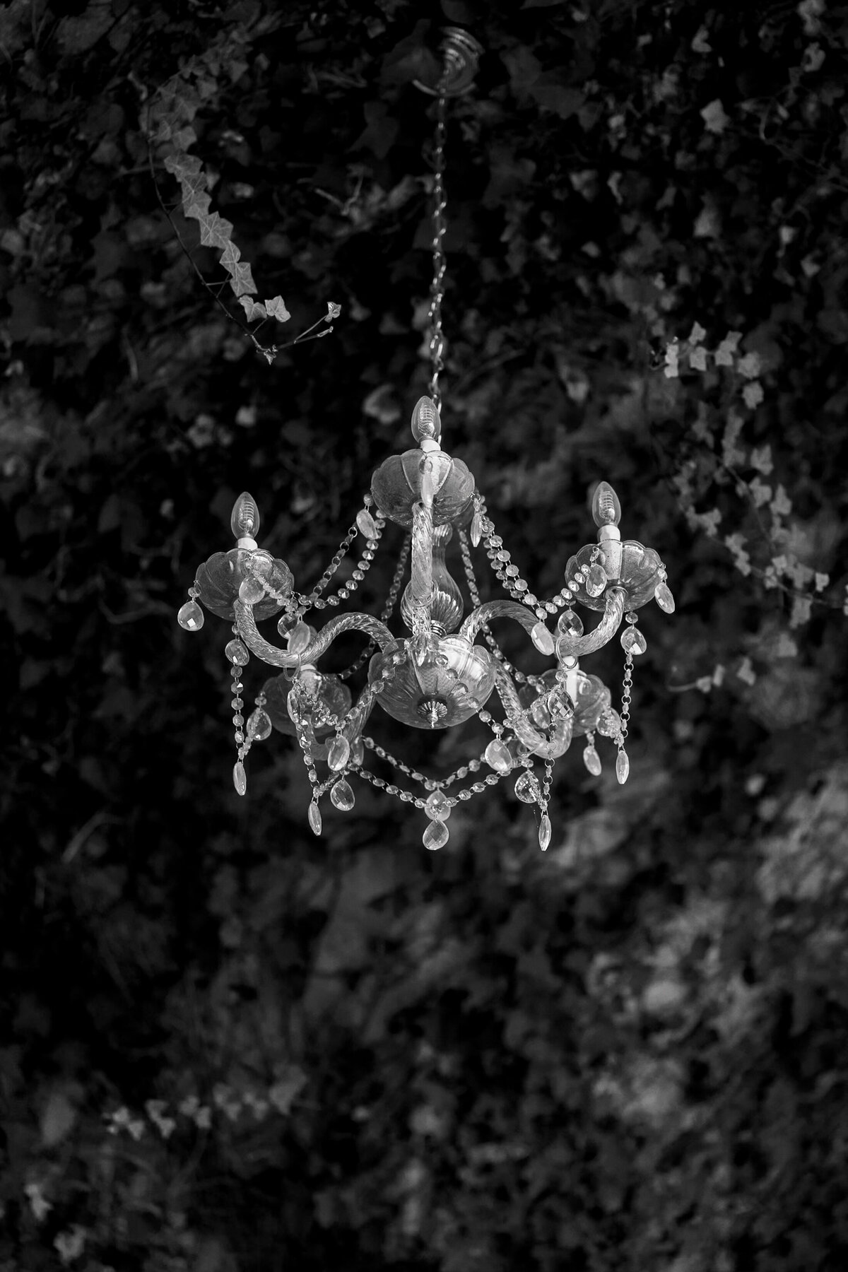 RIweddingphotographer-4772