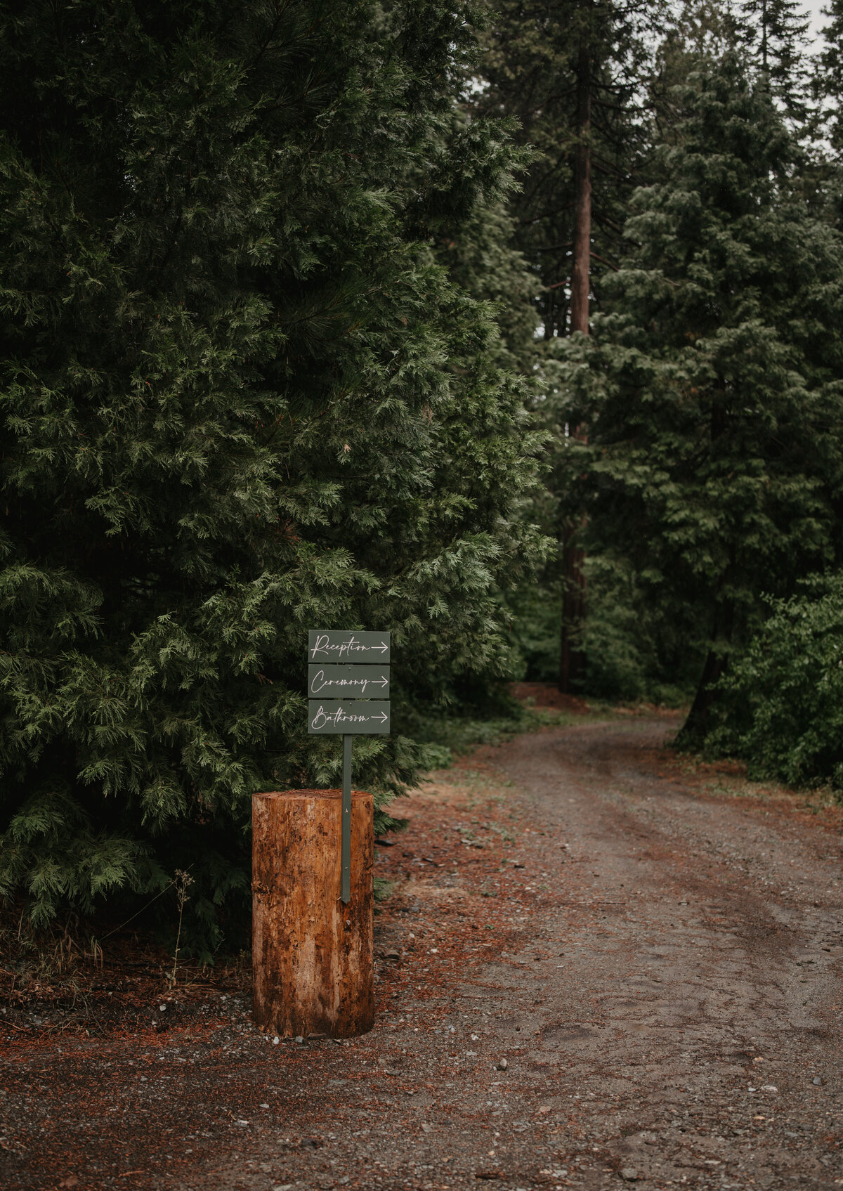 MountainTimePhotography-702
