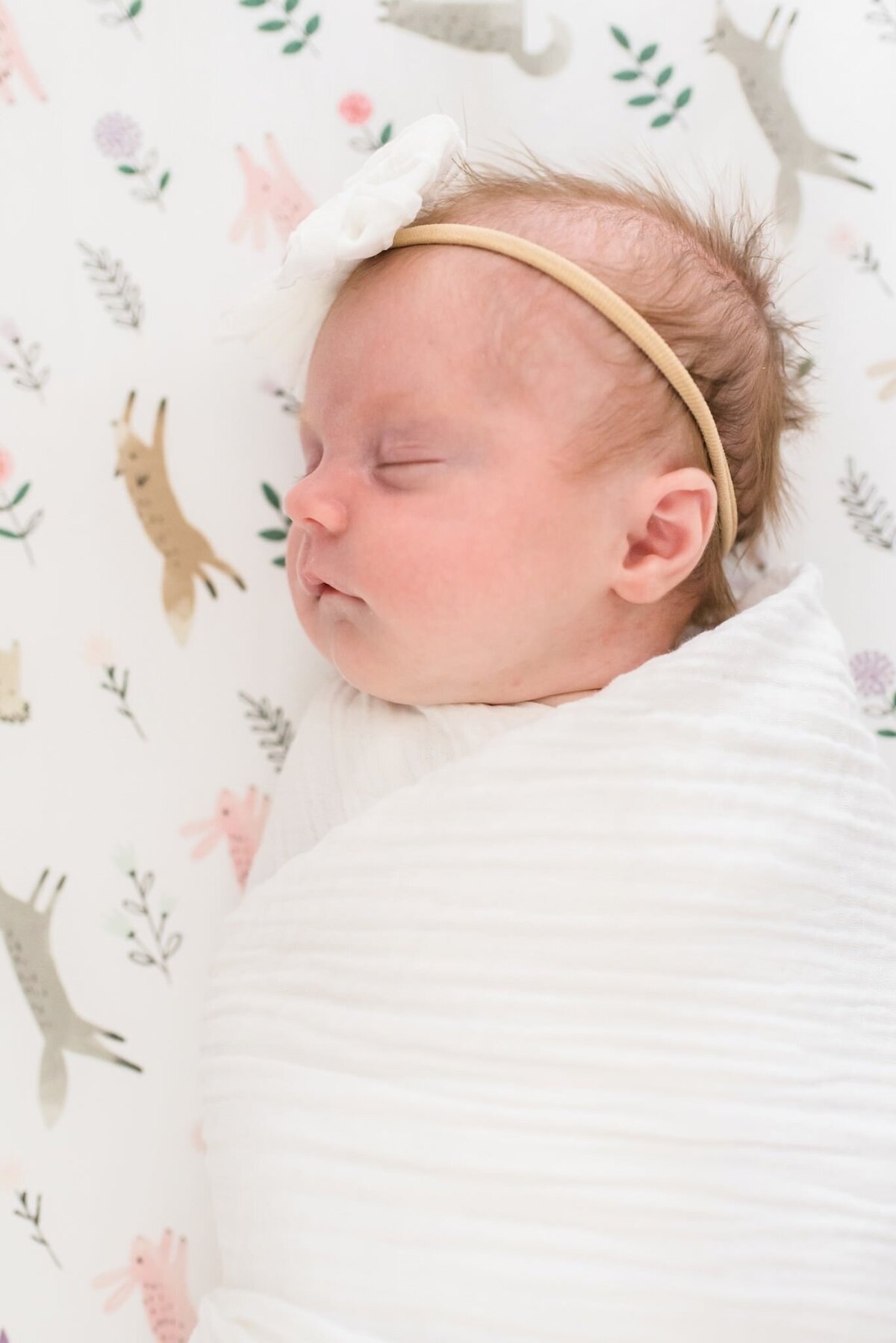 Pink-nursery-newborn-photos-nashville-tn (2)