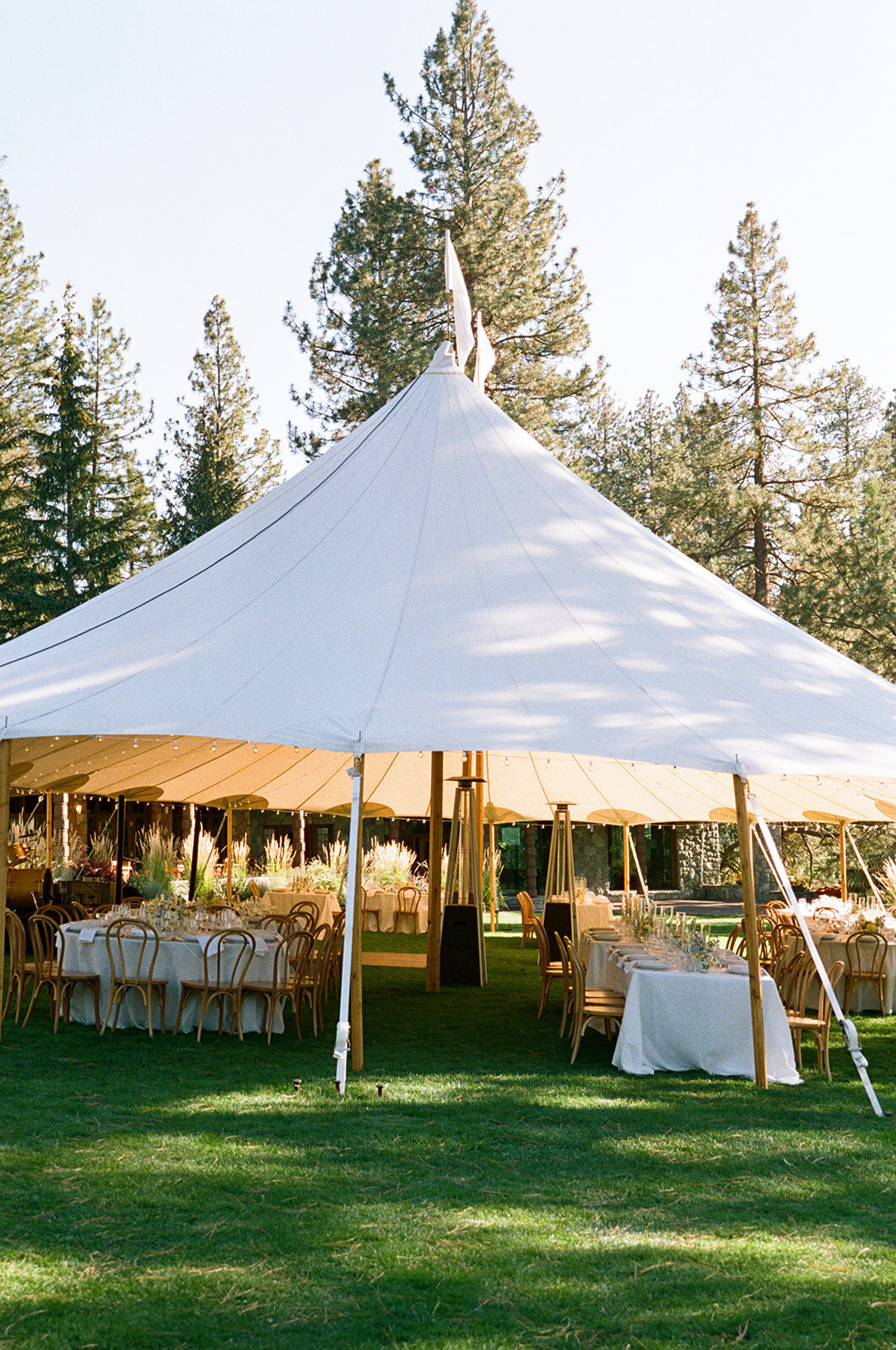 andrew-tiffany-reception-details-olive-and-oath7