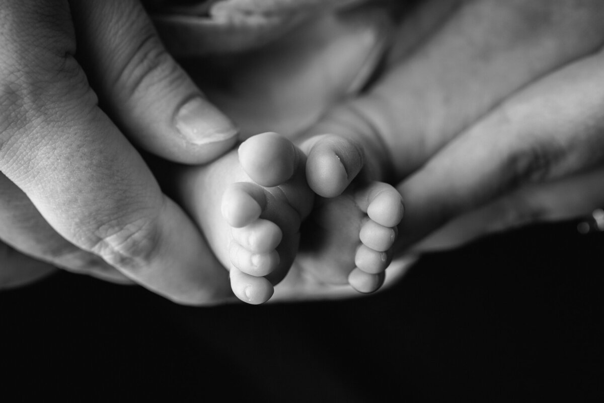newborn photography NW Arkansas, best newborn portraits NW Arkansas