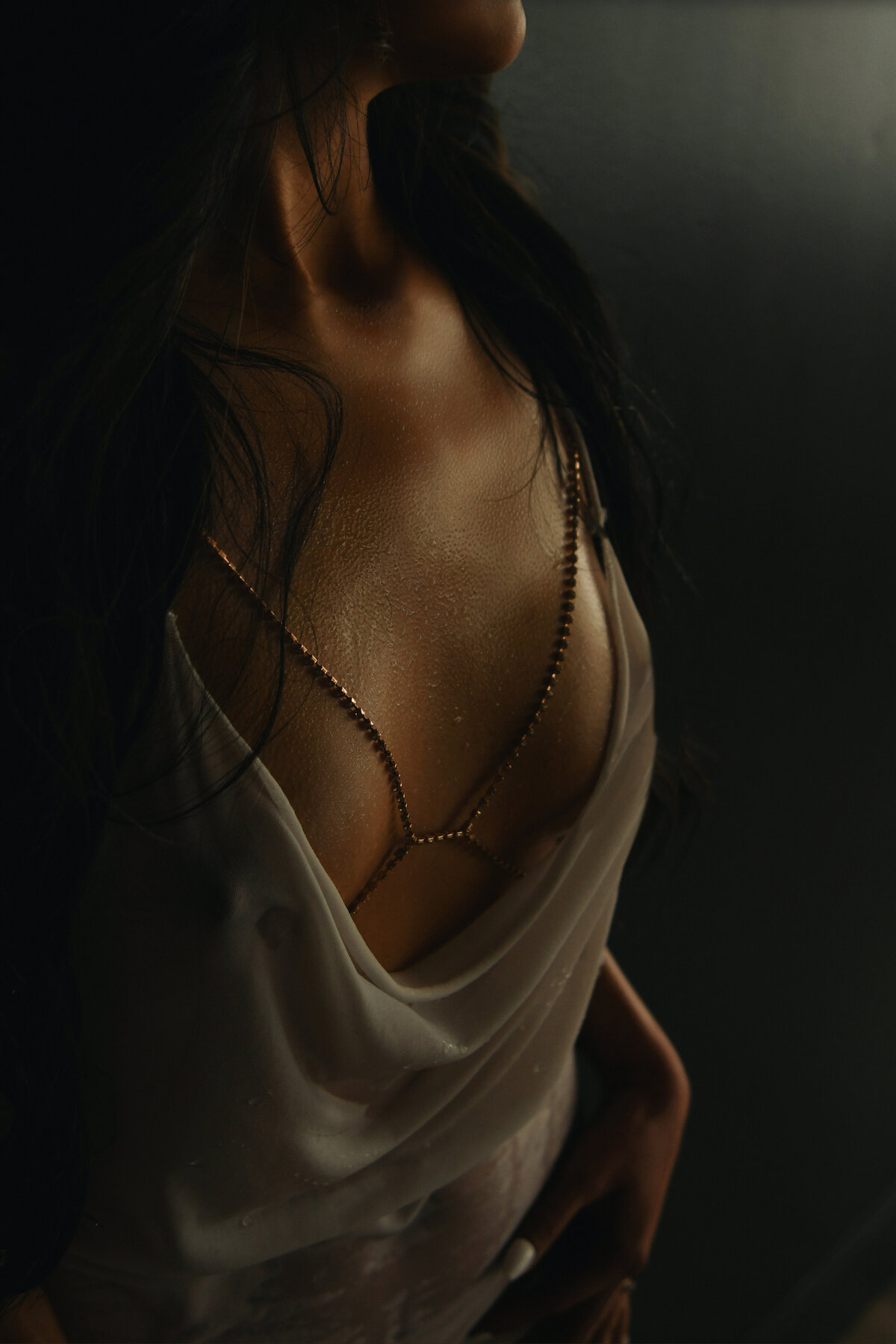Oculus Portraits Boudoir Photographer Vancouver 2