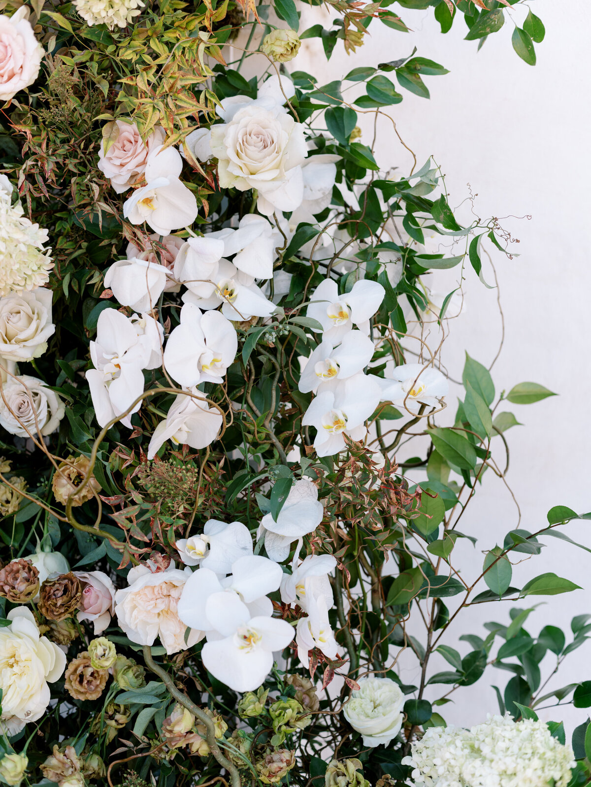 Hotel_Californian_Wedding-00031