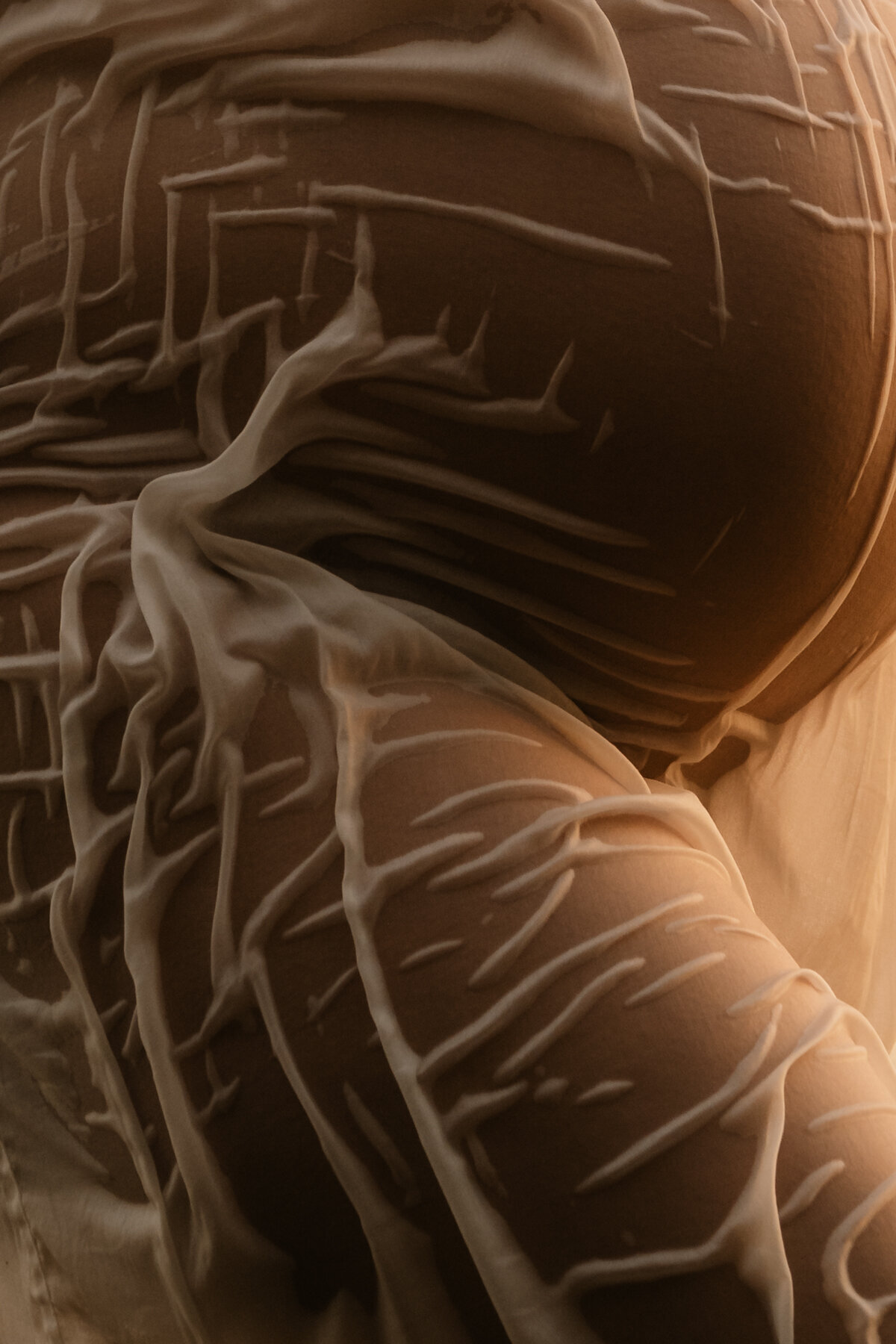 ROAW_Charlotte_Maternity_Session_Camila_2052