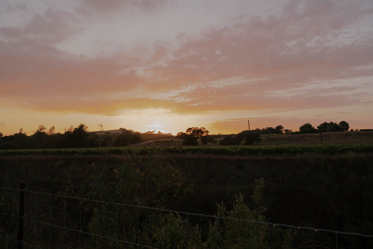 10-DSC_0779