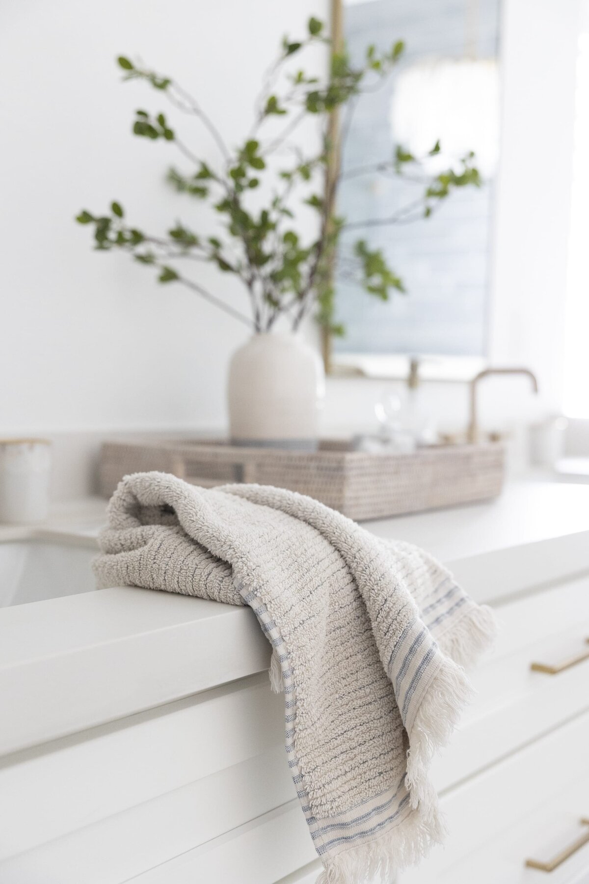 dewine design orlando interior designer contemporary coastal primary bathroom towel on counter with green plant