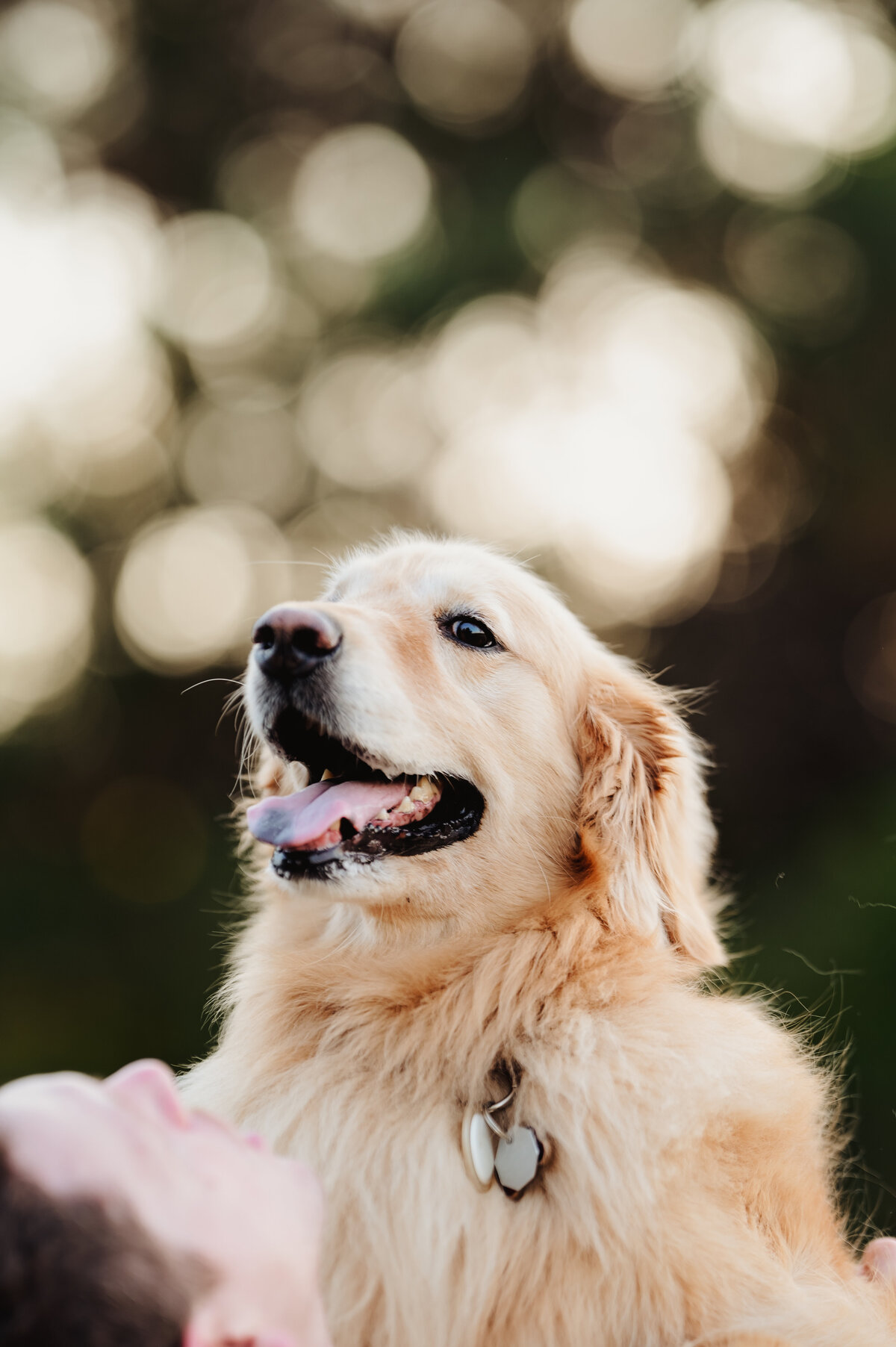 OliviaB_Fall2025_067