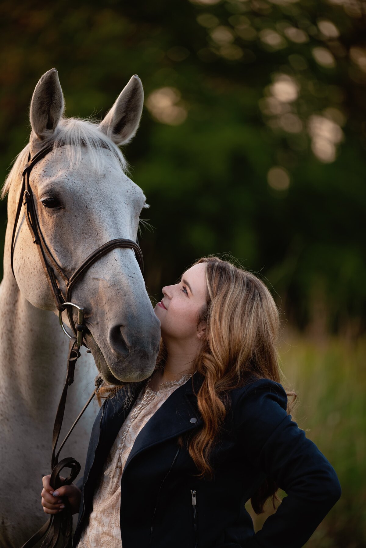 equine-portrait-plymouth-michigan-1 (1)