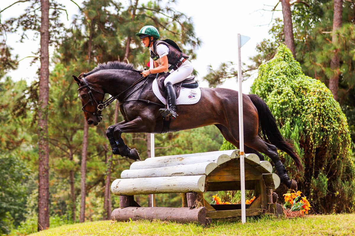 A bay horse jumping over a cross country fence during an event at the Carolina Horse Park in Raeford, North Carolina.