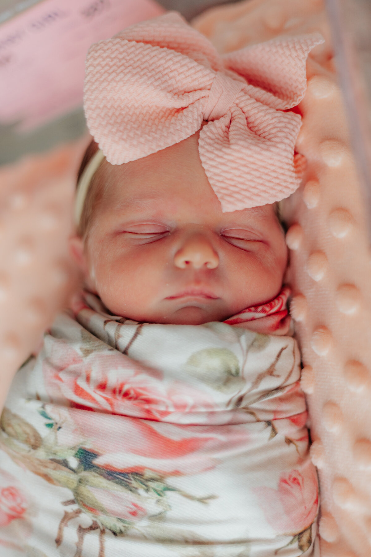CindyG.Photography-1493