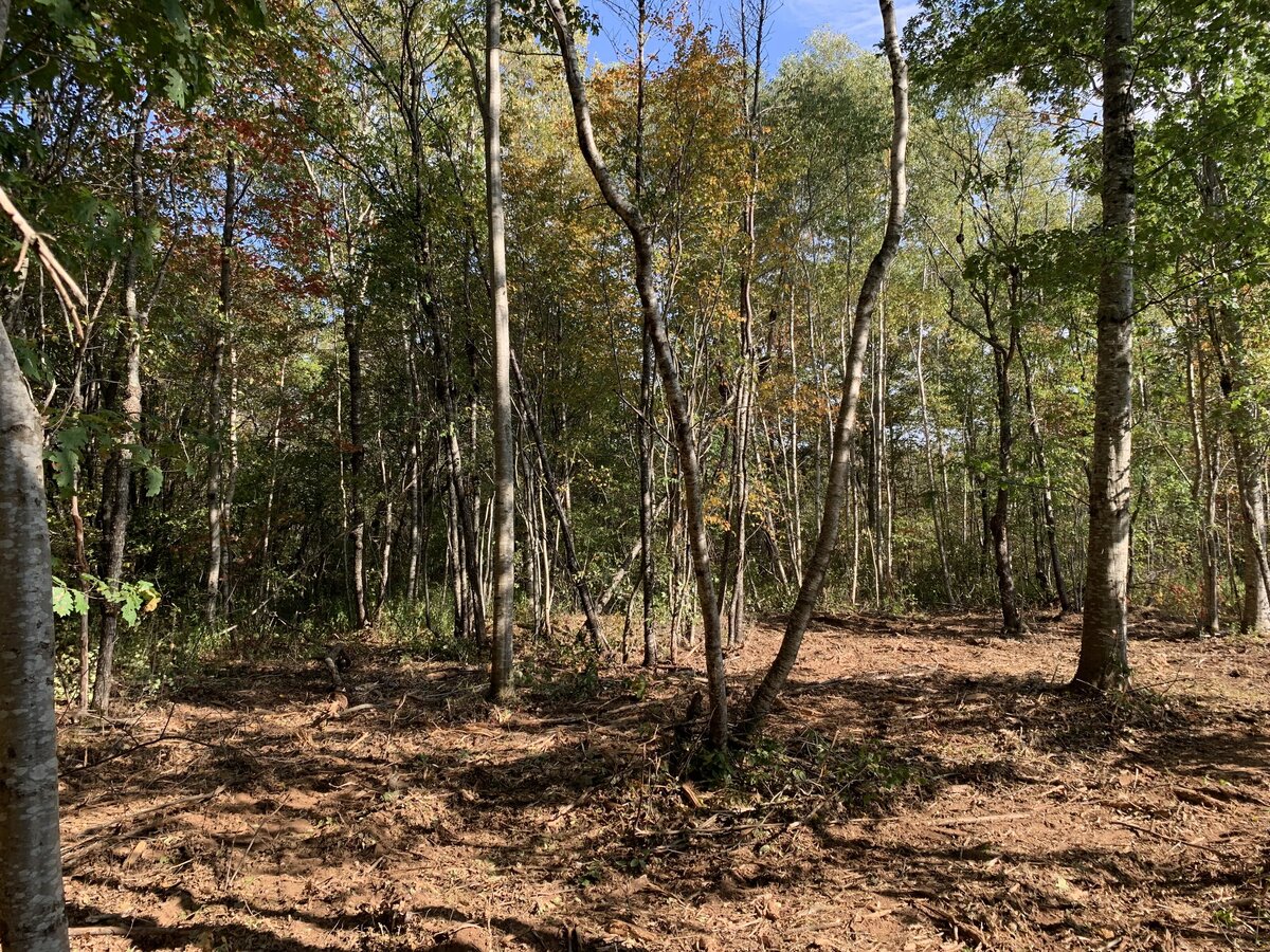 Ground Down Land Management - Excavation Services - Nova Scotia - Property Access - Trail Systems - Driveways - Patios - Landscaping - Mulching