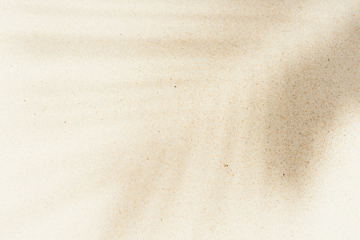 Ombre d'une feuille de palmier sur sable blanc