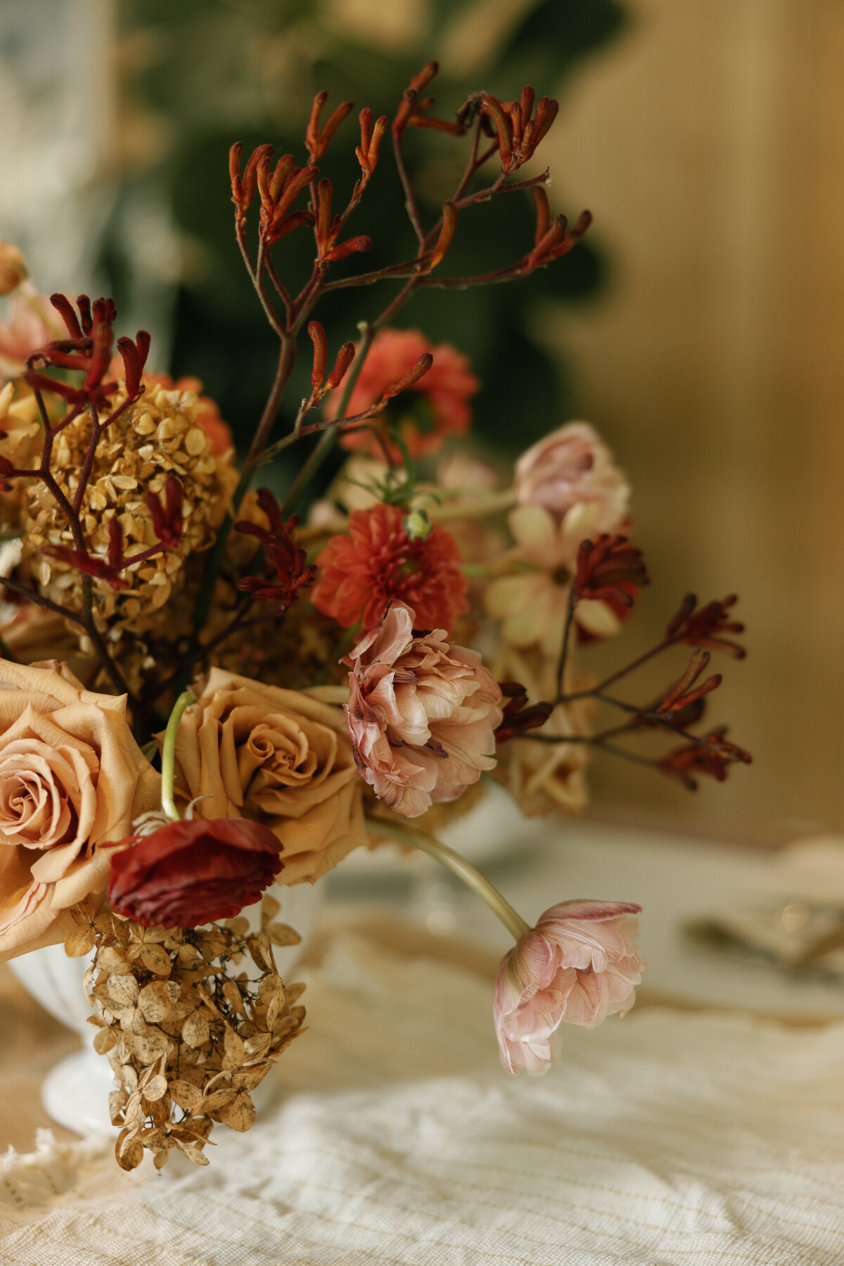 carol-malhar-elopement-dec2024-18