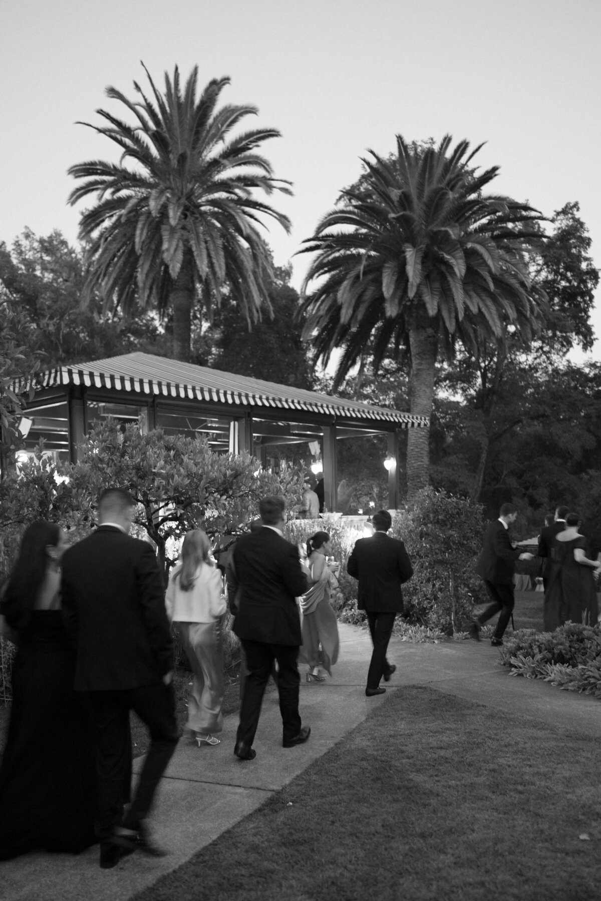 1WILLOWAND-BEN-WEDDING-PHOTOGRAPHER-NAPA-127