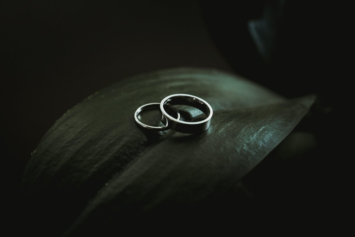 amanda-mocci-Zyp3t67rrP4-unsplash