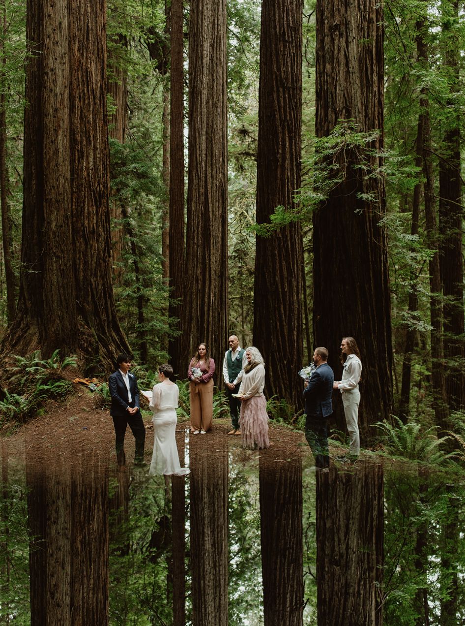 Meg Cooper Photo Redwood National Park Elopement2