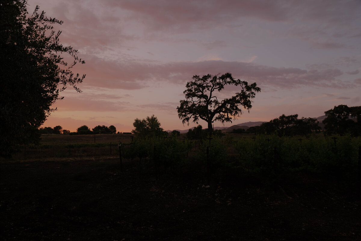 15-DSC_0786