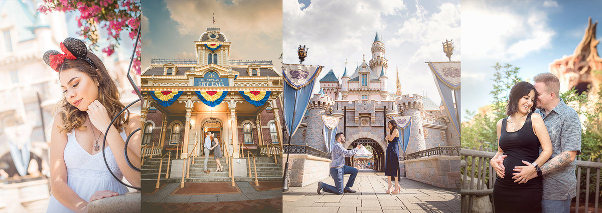 Disneyland Masterpiece Portraits banner