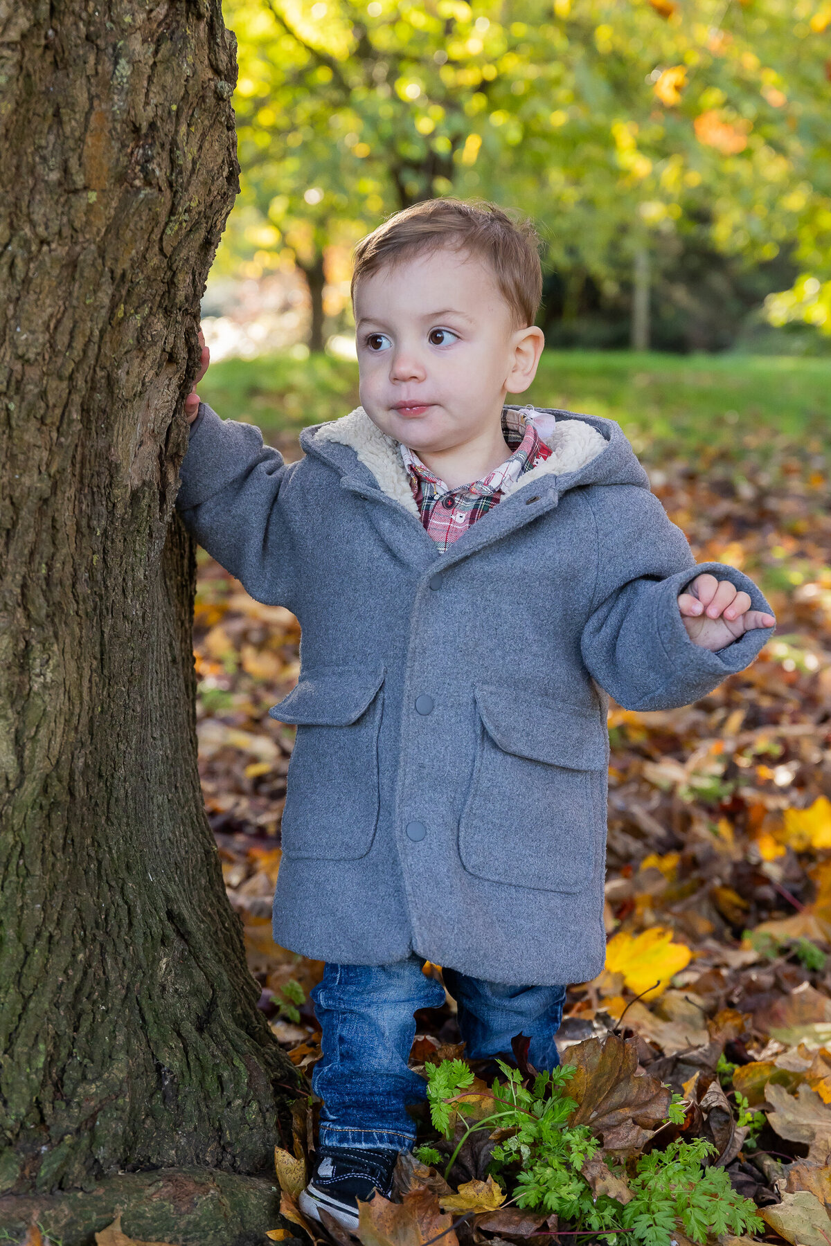 Toddler in a gray coat standing by a tree, surrounded by fallen autumn leaves, looking to the side with a curious expression.