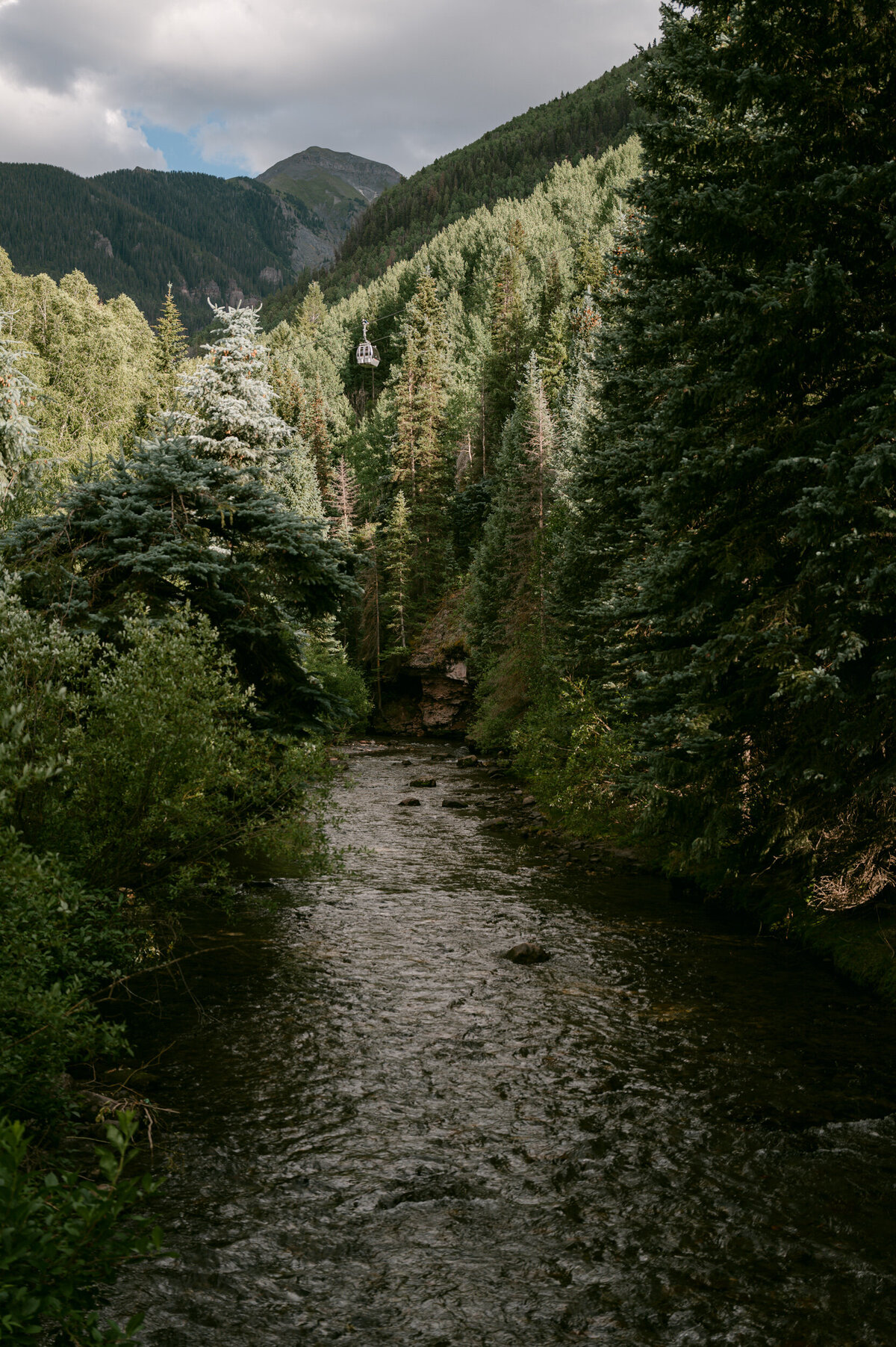 tellurdie wedding san sophia carter rose-0001