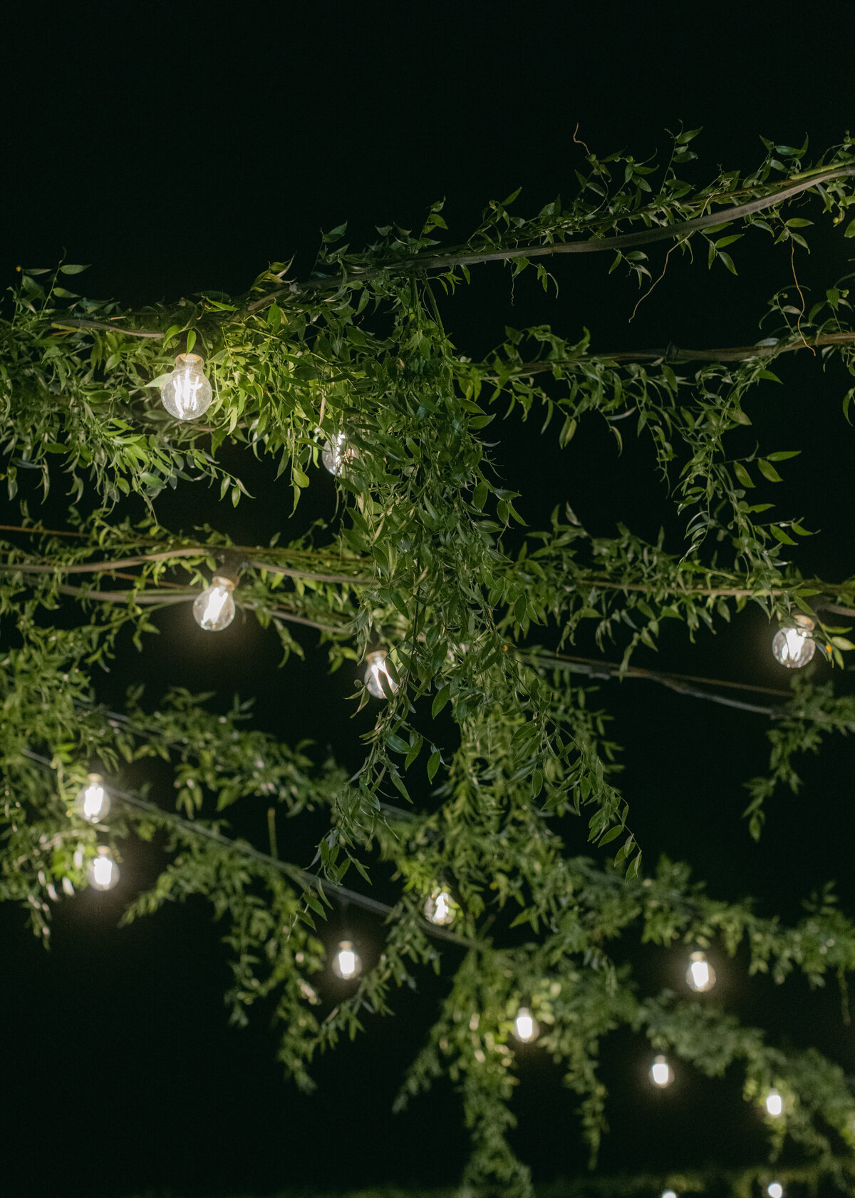 Irene_Felix_Wedding_Holly Clark Photography_H-705