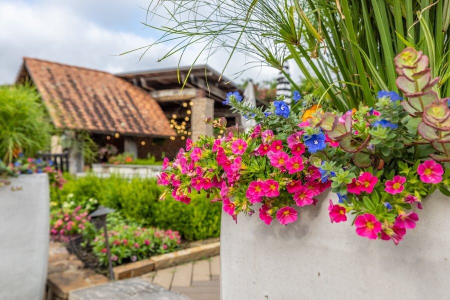 colorful-summer-flowers-antique-brick-arkansas-standard